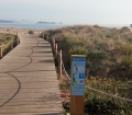 Trobada de Comitès Ambientals del Baix Empordà d'ESO a la platja llarga de Pals